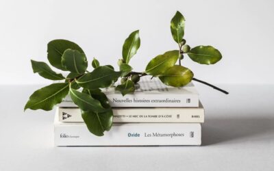 Annotation 2020-03-09 025136