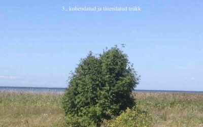 Eesti-murded-ja-kohanimed